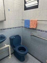 Blk 307 Clementi Meadows (Clementi), HDB 3 Rooms #500195841